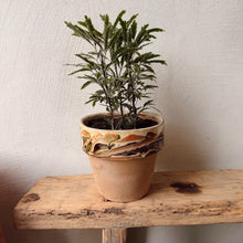 Load image into Gallery viewer, Cottage Crafted Flowerpot
