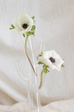 Load image into Gallery viewer, Cactus Vase

