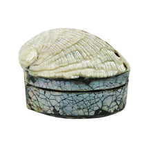 Load image into Gallery viewer, Shell Trinket Box
